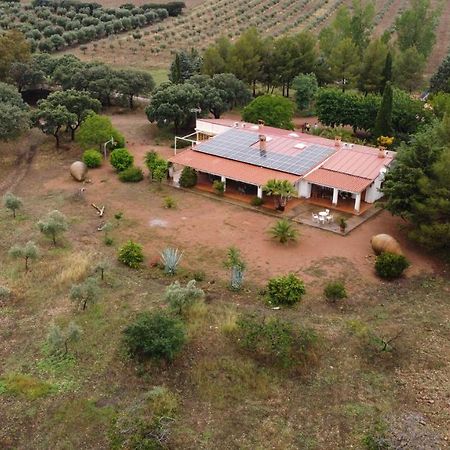 Los Quiles Agroturismo La Finka מראה חיצוני תמונה